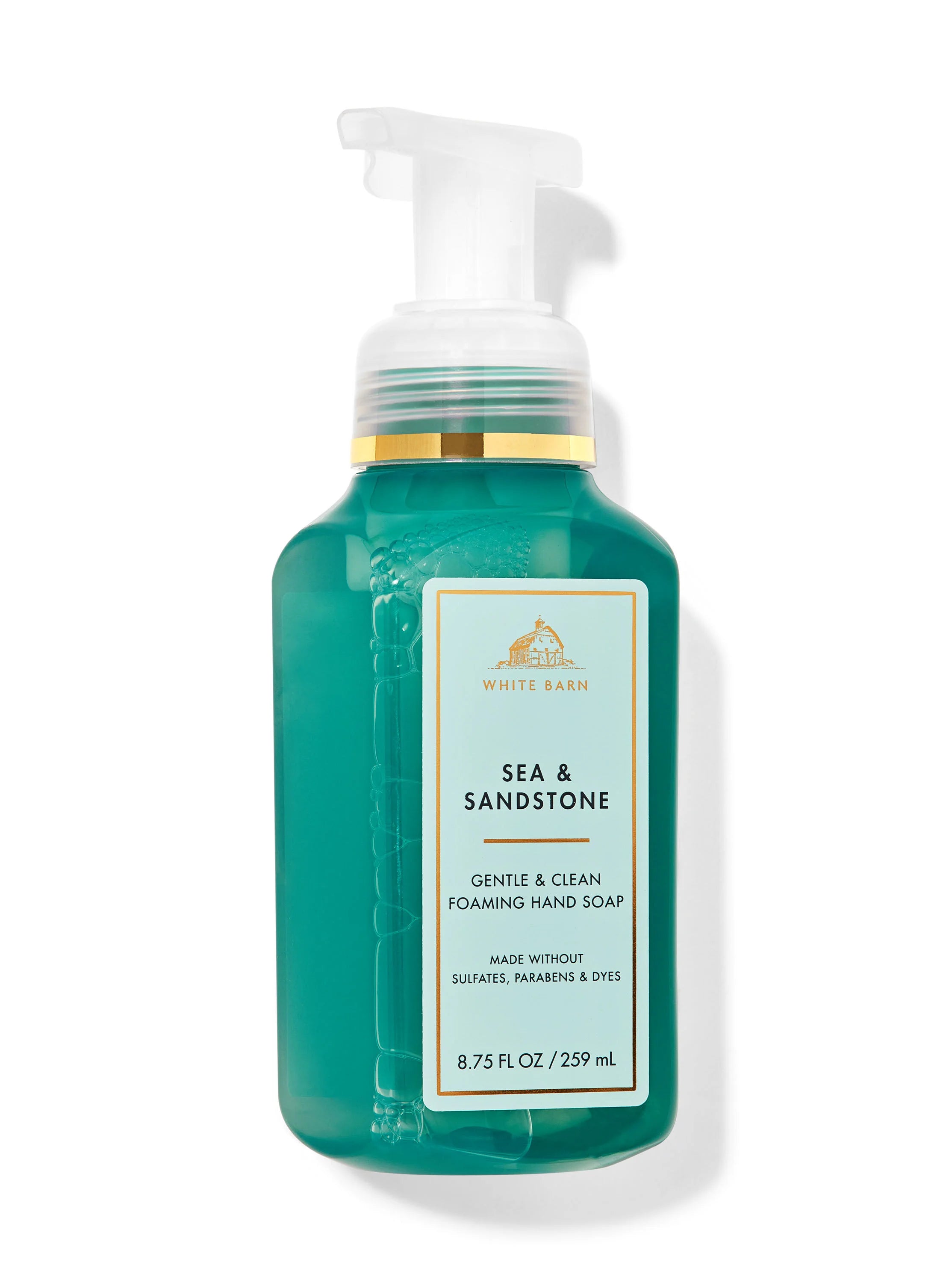 SEA & SANDSTONE-FOAMING HAND SOAP